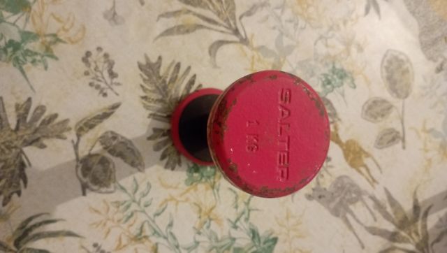 Mancuerna Salter 1Kg