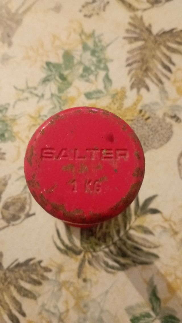 Mancuerna Salter 1Kg