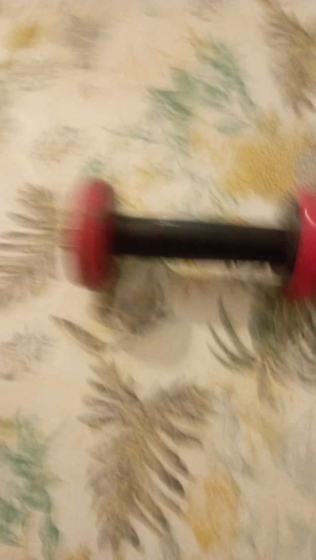 Mancuerna Salter 1Kg