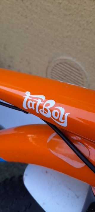 Fat Bike Specialized: Bicicleta montaña