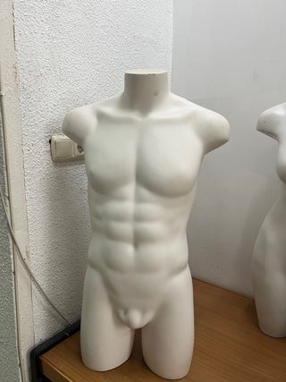 Maniquí torso hombre blanco
No envio 