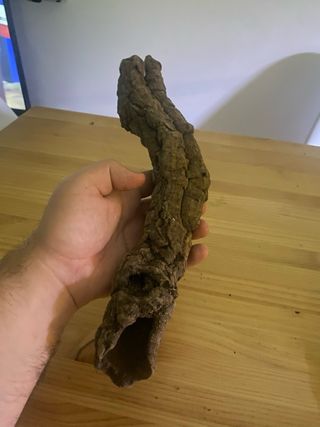 Cueva corcho terrario