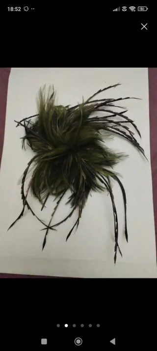 Tocados plumas ceremonia