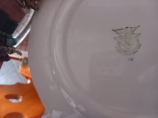 Servizio piatti vintage floreale