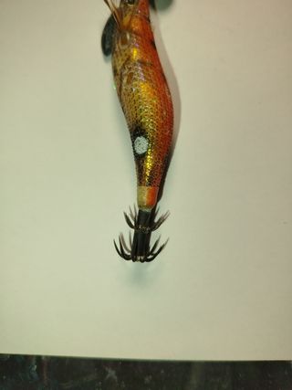 Señuelo- Pesca Profesional