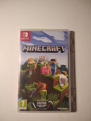 Minecraft Nintendo Switch