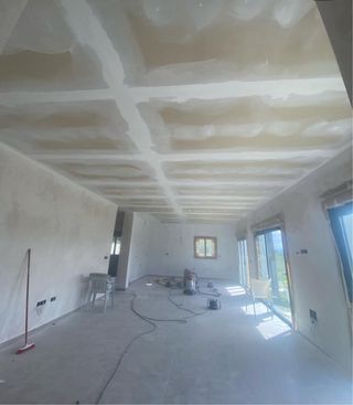 Trabajo pintura - Profesional