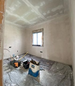 Trabajo pintura - Profesional