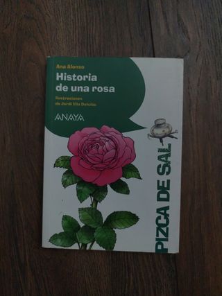 Historia de una rosa