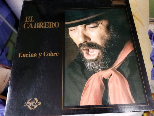 12 LPs Variados: Música Latina y Pop-Rock.