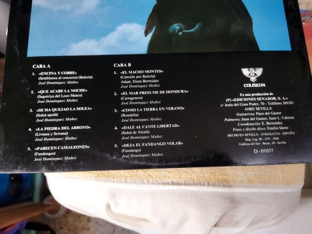 12 LPs Variados: Música Latina y Pop-Rock.