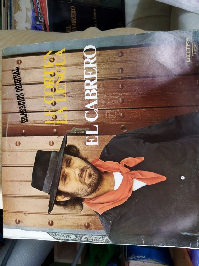 12 LPs Variados: Música Latina y Pop-Rock.