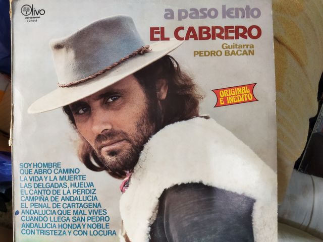 12 LPs Variados: Música Latina y Pop-Rock.