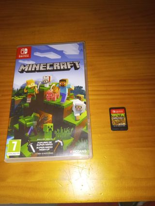 Minecraft Nintendo Switch