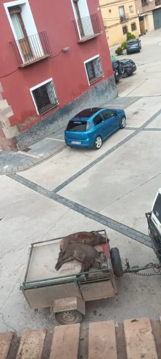 FIAT Punto Evo 2008