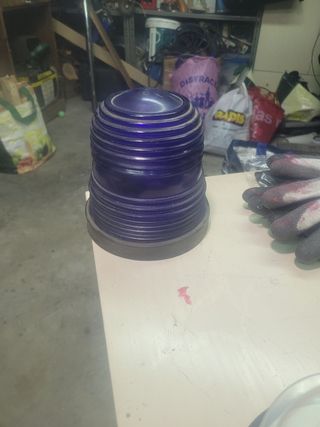 Tulipa azul luz avión