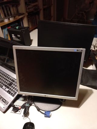 Monitor ordenador LG FLATRON L1752S 17"