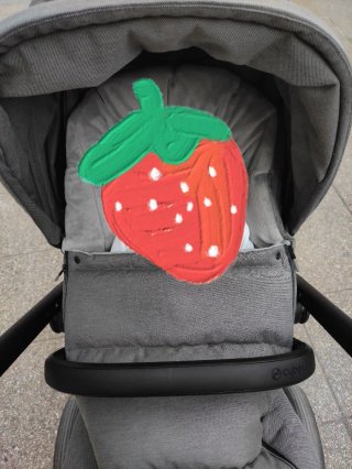 Silla de paseo Cybex balius S.