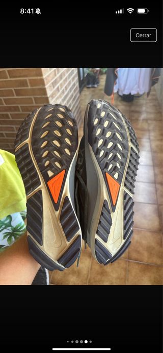 Zapatillas Nike Pegasus Trail 4 Gore-Tex 47
