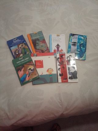 Lote de libros de lectura escolares en gallego.