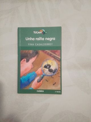 Lote de libros de lectura escolares en gallego.