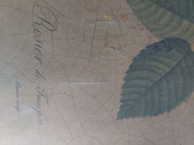 Cuadro botánico vintage rosa marco dorado