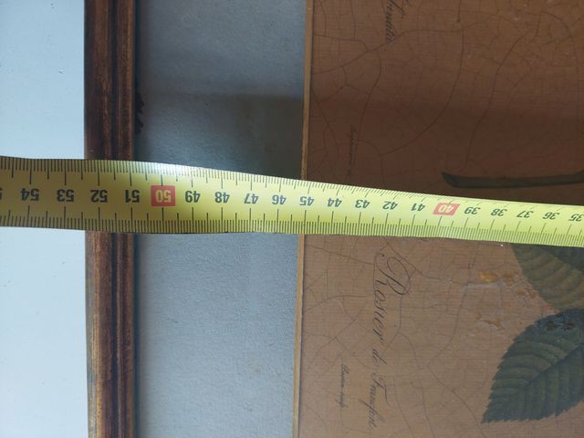 Cuadro botánico vintage rosa marco dorado