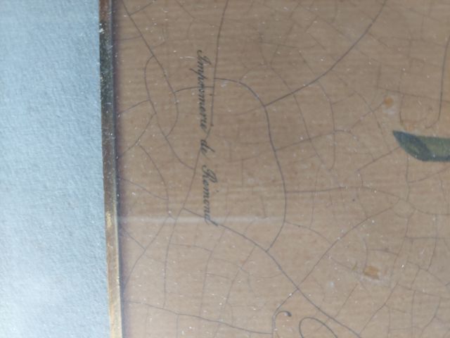 Cuadro botánico vintage rosa marco dorado