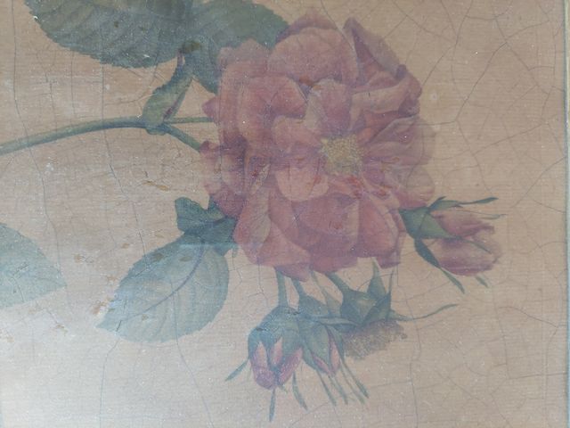 Cuadro botánico vintage rosa marco dorado