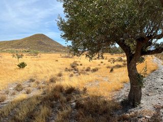 Cortijo rústico - 2 hectáreas