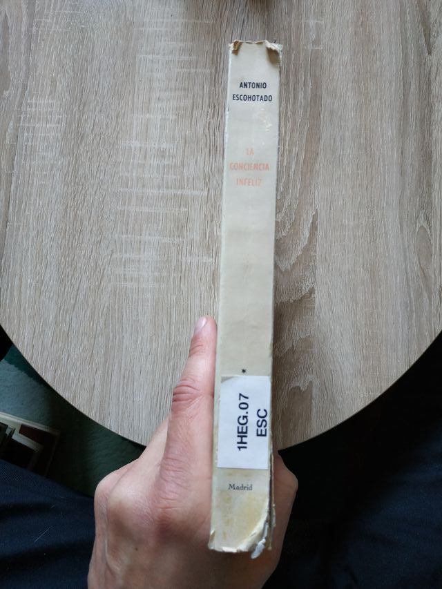 La conciencia infeliz. Ensayo sobre la filosofía d