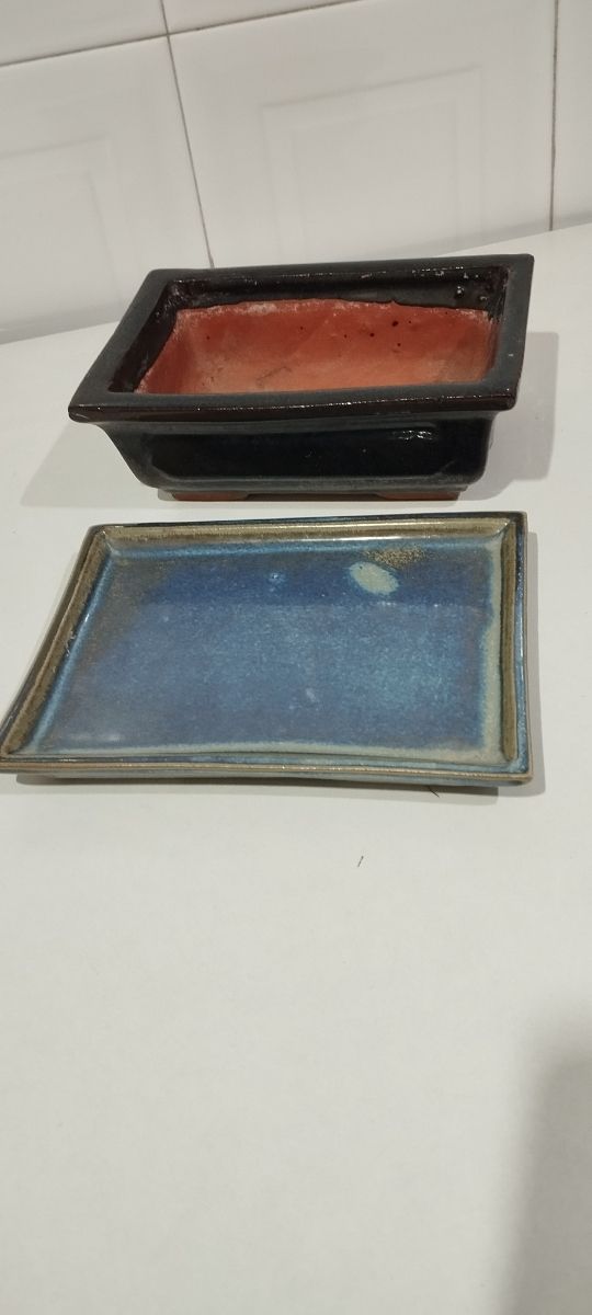 Maceta Bonsái cerámica azul-naranja