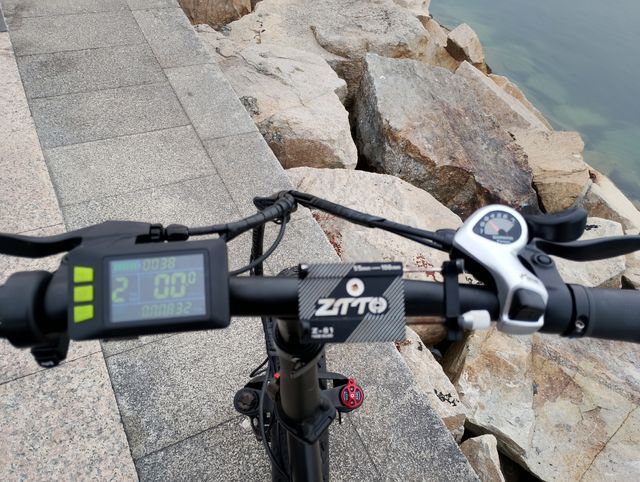 Bicicleta eléctrica Youin Fatbike