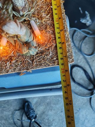 Presepe Natale Ceramica Legno