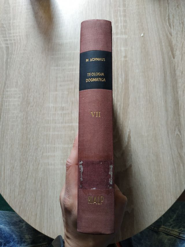 Teología dogmática VI. Los Sacramentos - Michael S