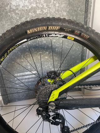Orbea rayon