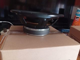 Casse audio 20cm - VS audio 