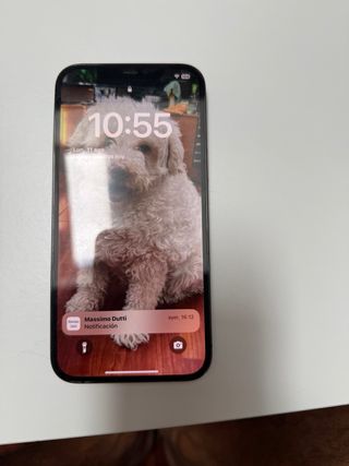 iPhone 12 Pro Max 128GB - Gris espacial
