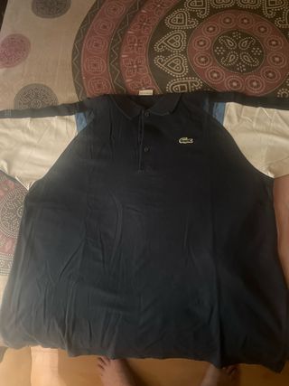 Polo Lacoste - Azul y Blanco