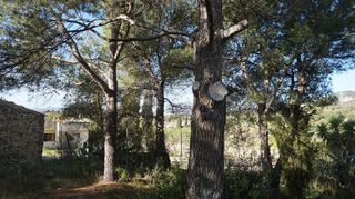 Chalet en venta en Lloseta