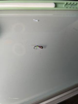 Moscas ahogadas y perdigones de  pesca