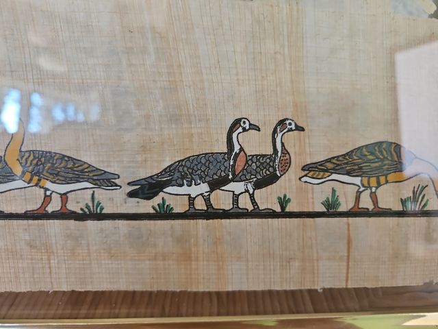 Papiro antiguo con patos - Egipto