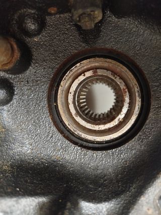 Mangueta trasera DERECHA BMW E46