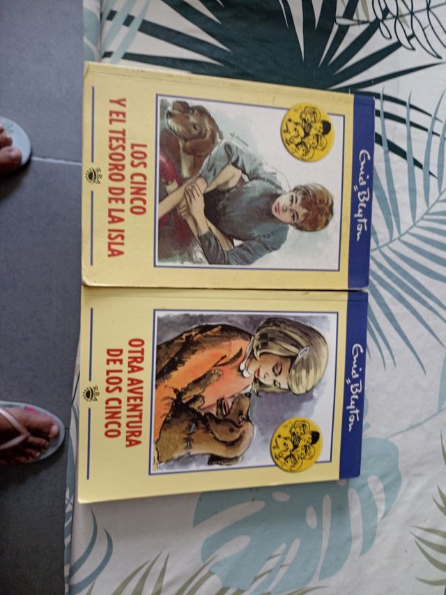 Los cinco y el tesoro de la isla 
Otra aventura