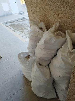 Trabajos obta pintura yrecojida de escombros