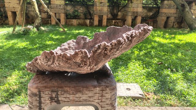 Vaso Bonsai in pietra - marrone