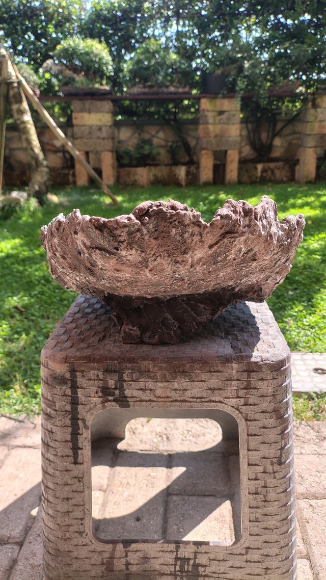 Vaso Bonsai in pietra - marrone