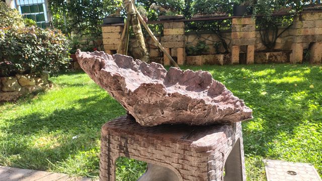 Vaso Bonsai in pietra - marrone