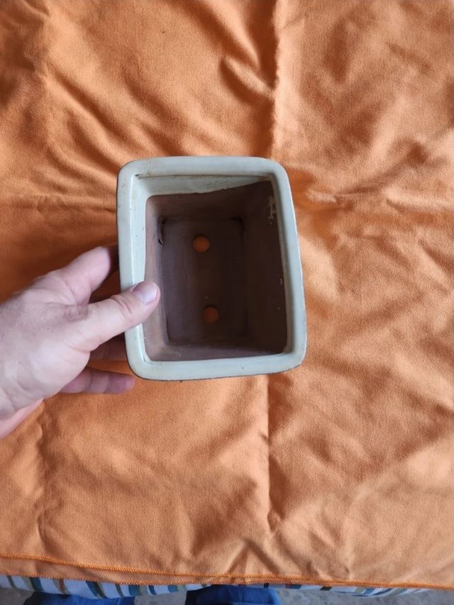 Tijeras para Bonsái y utensilios varios.