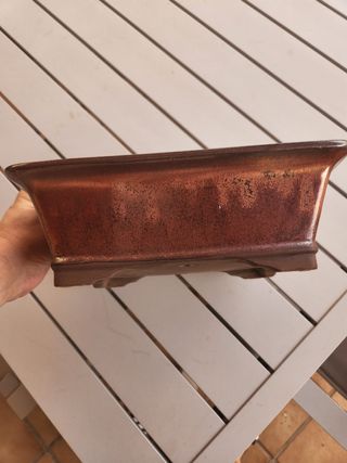 Tijeras para Bonsái y utensilios varios. 